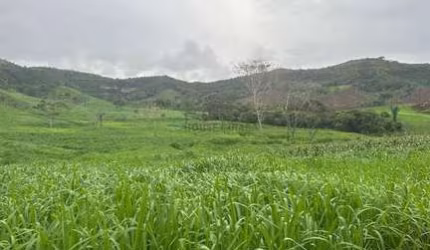 área de terra de 247 alqueires com excelente localização na região da cidade de