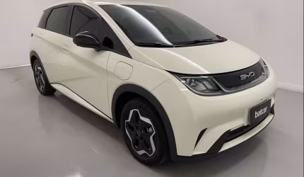 Byd dolphin