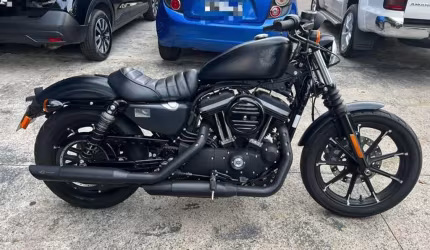 Harley-davidson xl 883n iron 2019/2020