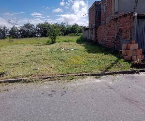 Terreno à venda, 153 m² por R$ 75.000,00 - Residencial Pasin - Pindamonhangaba/SP
