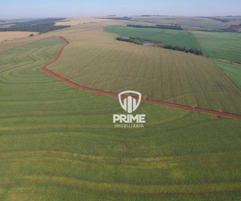 Fazenda à venda em São Martinho - cidade de Rolândia.   - Com 168 alqueires, 147 alquieres de plantio