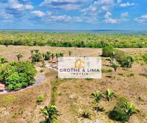 Vendo fazenda 530 alqueires 100% documentada dupla aptidão com excelente preço, grande potencial para lavoura e pecuária a 30 km de Araguaína Tocantin