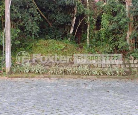Terreno à venda na Rua Doutor David de Azevedo Gusmão, Jardim Isabel, Porto Alegre