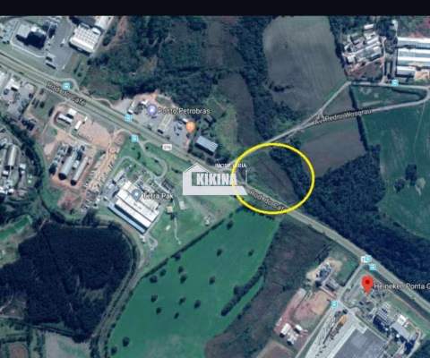 Terreno à venda, 39346.00 m2 por R$28500000.00  - Colonia Dona Luiza - Ponta Grossa/PR
