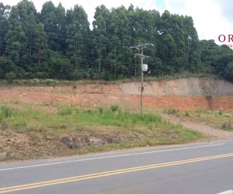 Terreno à venda na BR 116 KM 119, 1, Pedras Brancas, São Marcos