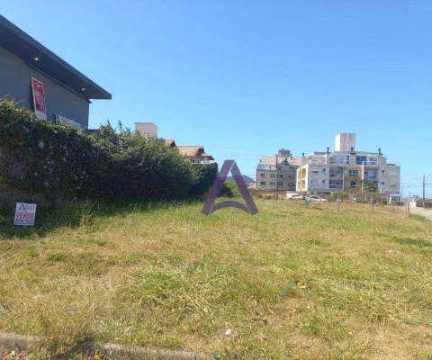 Terreno à venda, 533 m² por R$ 2.120.000,00 - Campeche - Florianópolis/SC