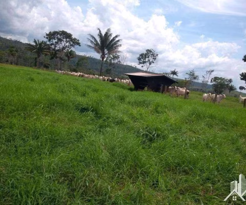 Fazenda para Venda em Juara, Paranorte