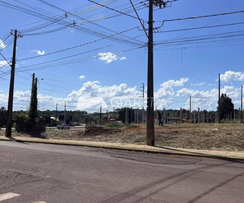 Lote amplo à venda em excelente localização, JARDIM PANCERA, TOLEDO - PR