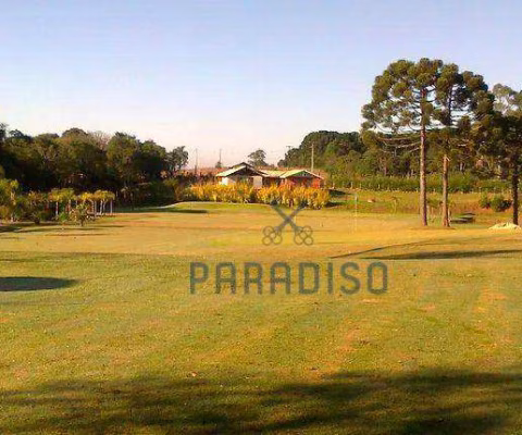 Chácara com 1 dormitório à venda, 5000 m² por R$ 500.000,00 - São Braz - Curitiba/PR