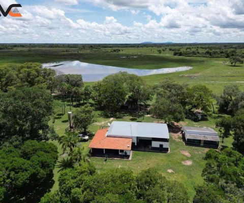 Fazenda em Centro  -  Miranda