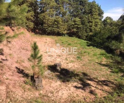 Terreno À Venda, 1810 M² Por R$ 250.000,00 - Centro - Jarinu/Sp