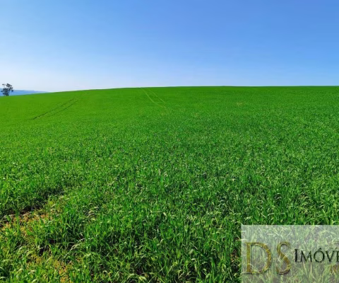 FAZENDA A VENDA EM CAPÃO BONITO/SP, 136 ALQUEIRES NO TOTAL, TERRA MISTA A VERMELHA, AÇUDE, NASCENTES E CACHOEIRA. COM BENFEITORIAS E ÓTIMA LOCALIZAÇÃO