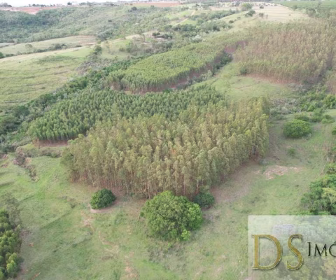FAZENDA EM ECHAPORÃ/SP  OPORTUNIDADE ÚNICA: 58,60 ALQUEIRES, PRÓXIMO À CIDADE  R$ 10.600.000,00