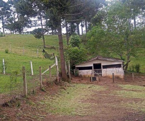 Chácara à venda, 3630 m² por R$ 165.000,00 - Zona Rural - Quitandinha/PR