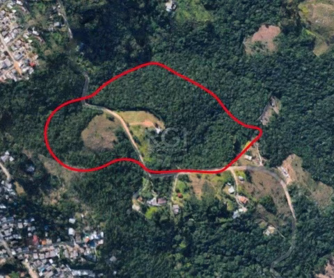 Area para Venda - 0m², 0 dormitórios, Cascata