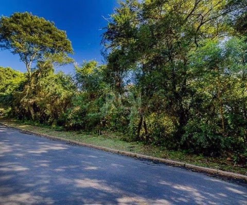 Terreno para Venda - 0m², 0 dormitórios, Teresópolis