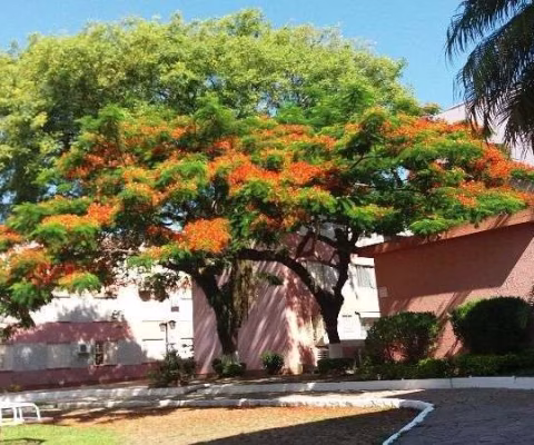 Apartamento para Venda - 59.47m², 2 dormitórios, Tristeza