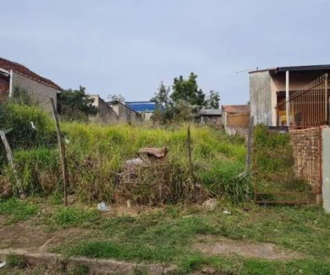 Terreno para Venda - 0m², 0 dormitórios, Tristeza