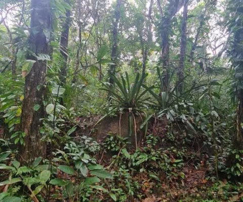 TERRENO A VENDA, 26.000 M²- SÃO PEDRO - ILHABELA/SP