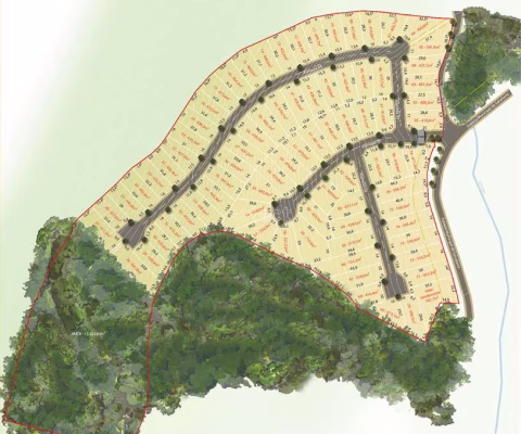 Lote / Terreno - Salvaterra