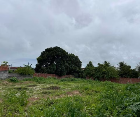 Terreno à venda, 1785 m² por R$ 600.000,00 - Planalto - Ceará-Mirim/RN