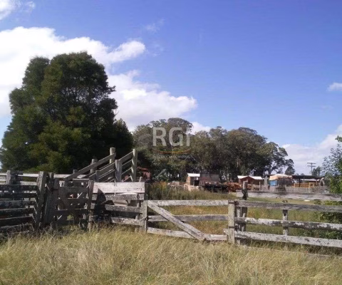 Area para Venda - 120000m², 0 dormitórios, Vila Santa Rosa