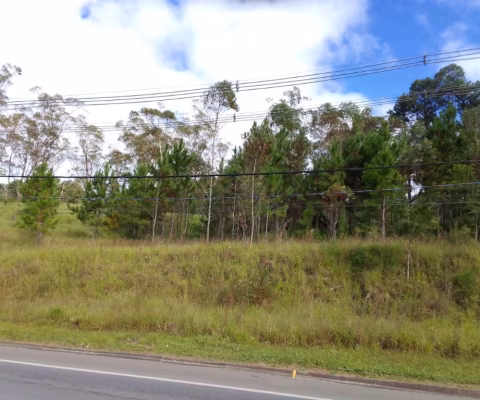 Área comercial em Suzano