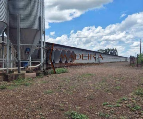 AVIÁRIO A VENDA - SITIO DE 1 ALQUEIRE E MEIO - CAMBIRA PR