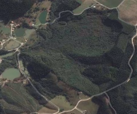 Terreno comercial à venda na Zona Rural, Campina Grande do Sul 