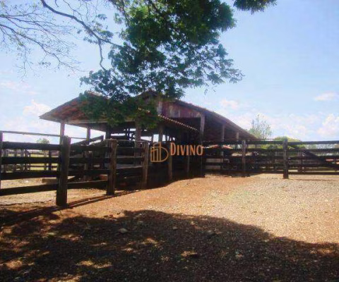 Fazenda à venda, 80 Alqueires por R$ 25.500.000 - Zona Rural- Quadra/SP