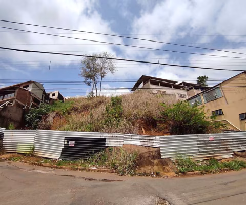 Lote / Terreno - São Pedro