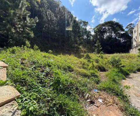 Lote / Terreno - São Pedro