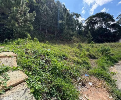Lote / Terreno - São Pedro