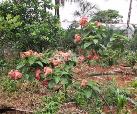 CHÁCARA à venda, MORADA NOVA - Uberlândia/MG