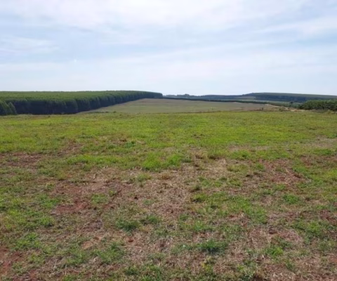 FAZENDA A VENDA NA REGIÃO DE BAURU-SP ??   - Área Total de 71 Alqueires ou 171,82 Hectares   - 62 Alqueires ou 151 Hectares em Plantio de Grãos   -
