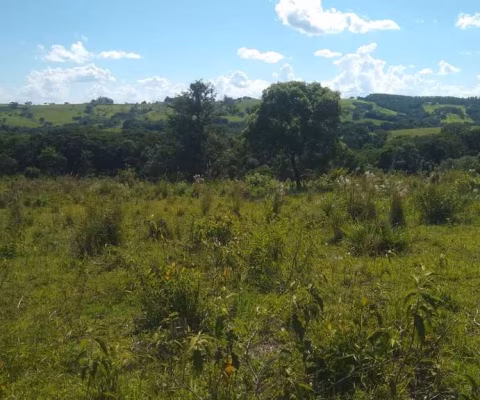 Sítio 9,5 Alqueires, 7 Alqueires em Pasto, Boa para Plantio ou Pecuária, Boa de Água com Ribeirão na Divisa, Sem Benfeitorias