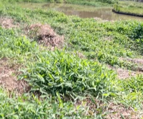 Sítio 27000m2, Casa 150m2, 3 Dormitórios, Muita Água, Tanques de Peixes, Bem Cercado, 6 km da Cidade, Estrada Cascalhada