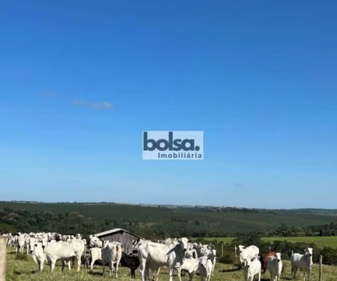 Fazenda montada  Bauru - SP