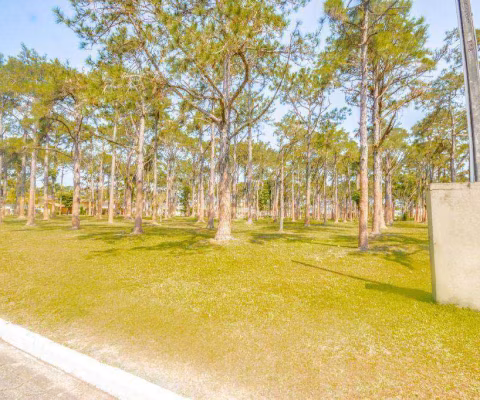 Terreno à venda, 1000 m² por R$ 1.700.000,00 - Acapulco - Guarujá/SP
