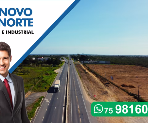 Lotes Comerciais com 3.000m² Novo Norte na BR116 Norte, Feira de Santana - Oportunidade Única!