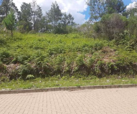 Terreno em Garibaldi/RS - Bairro Alfândega