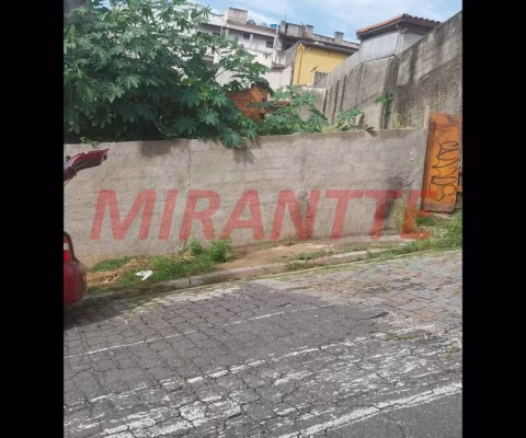 Terreno em Vila Celeste