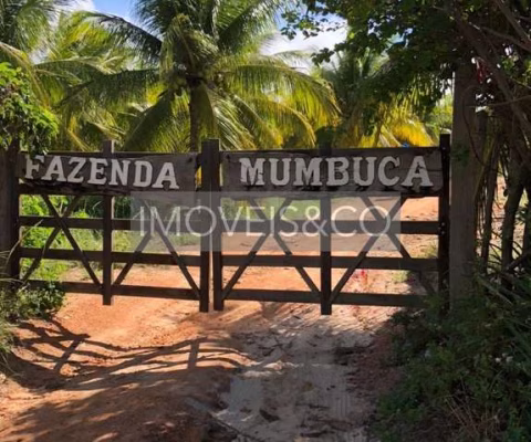 Chácara / sítio com 2 quartos à venda na Barra do Itariri, Conde 