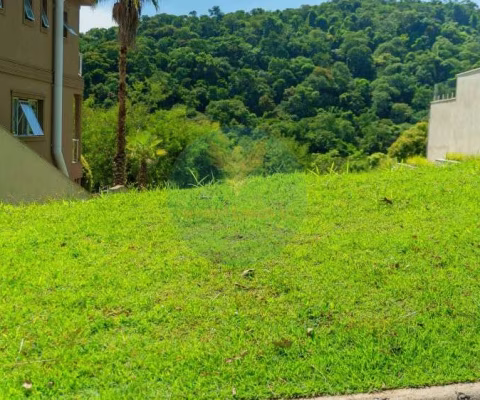 Declive com 490m² e vista eterna para APP