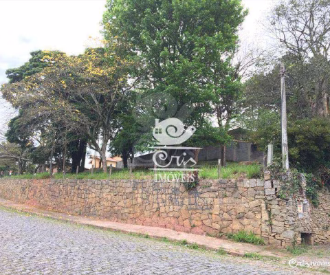 TERRENO VILA SUISSA