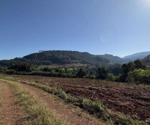 BELÍSSIMA CHÁCARA ENTRE GRAMADO E SANTA MARIA DO HERVAL - Linha Marcondes