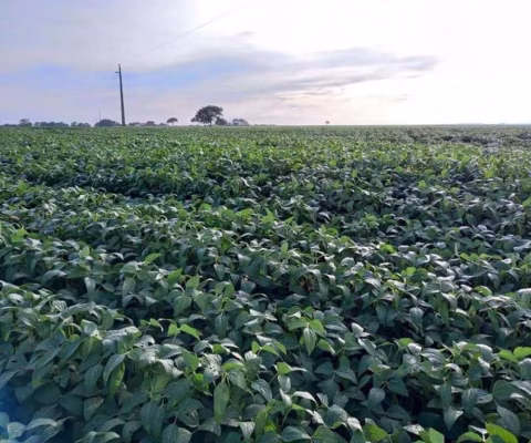 Fazenda para Venda em General Carneiro, Zona Rural