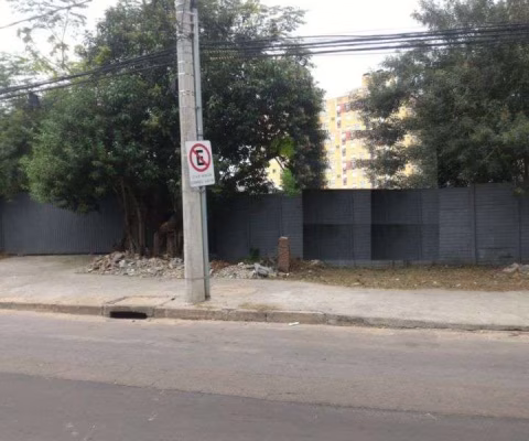 Terreno para Venda - 0m², 0 dormitórios, Tristeza