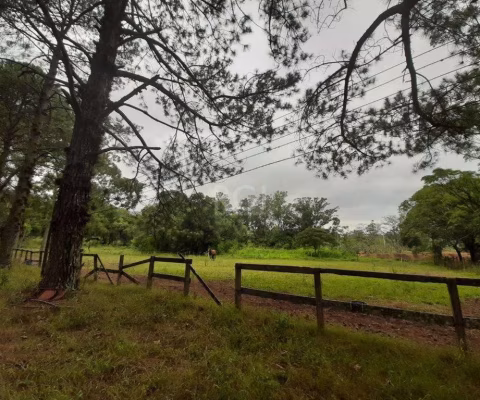 Sítio para Venda - 120217m², 0 dormitórios, Campo Novo