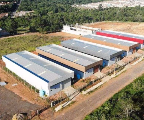 Galpão/Depósito/Armazém em Fazenda São Borja